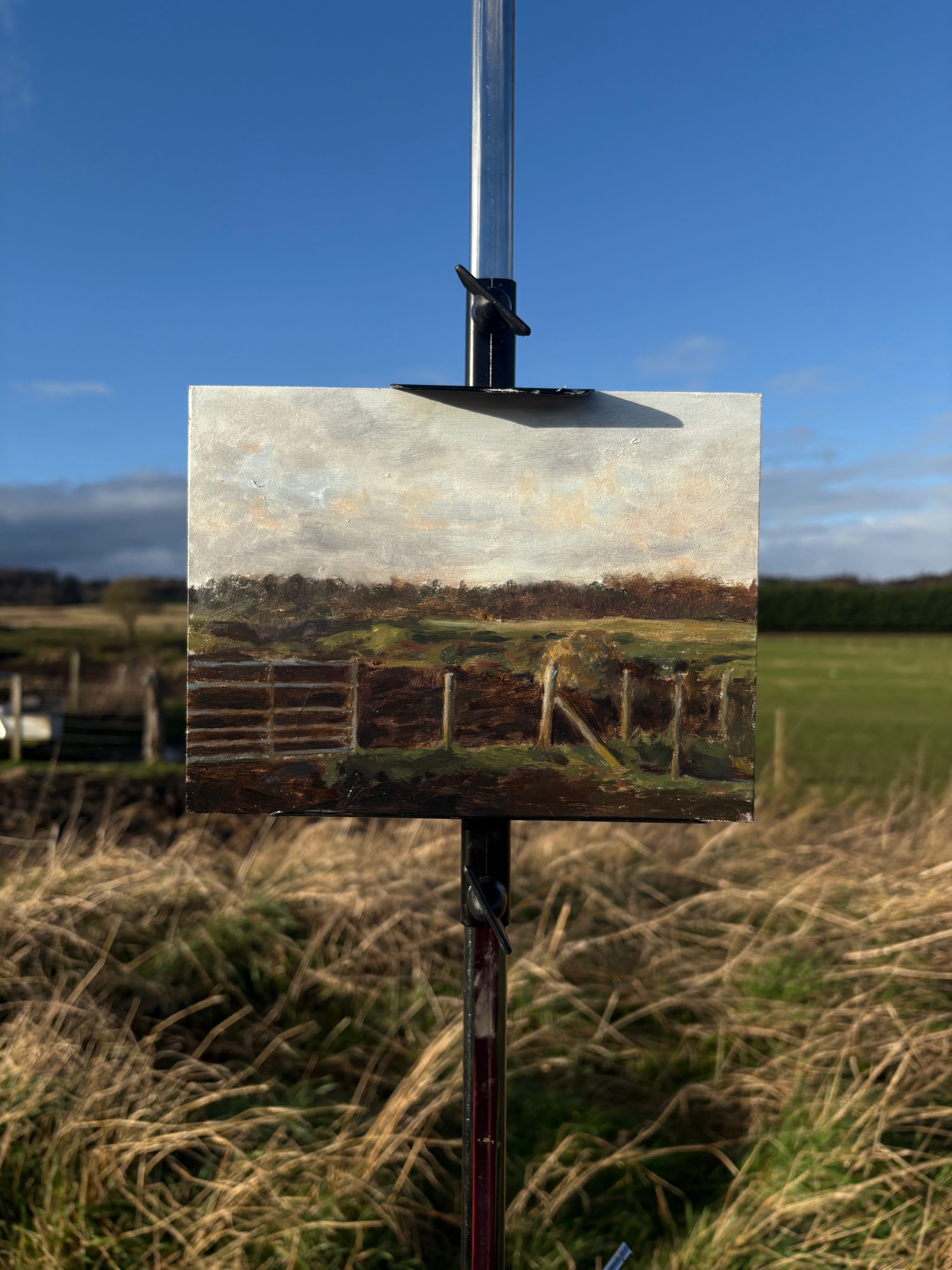 Open field, 
Oil on linen panel